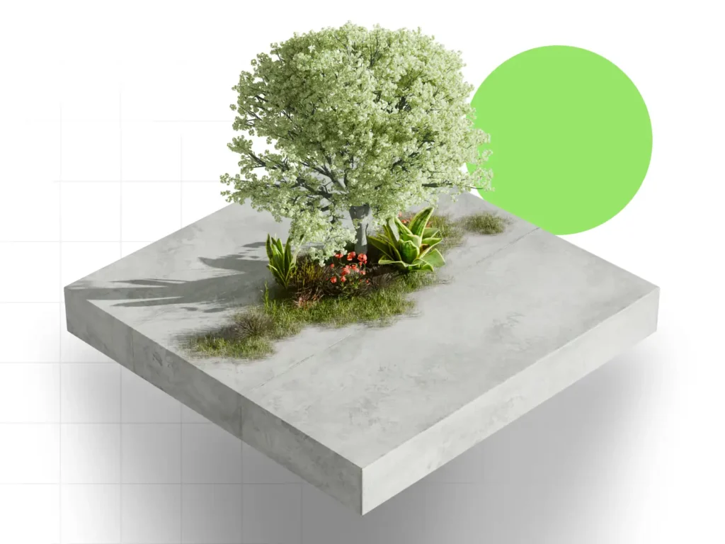 Webseitz solide grundlage